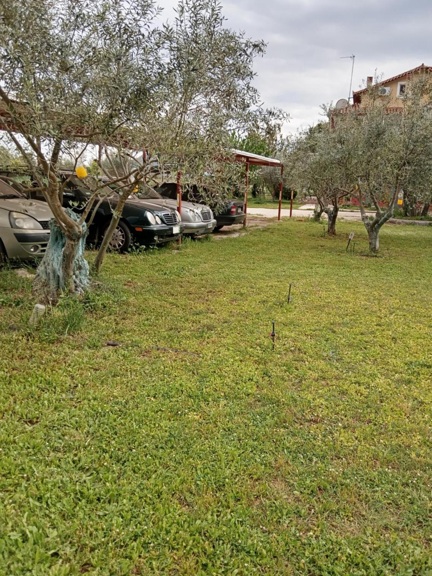 נאפפליו Ktima Anastasia חדר תמונה